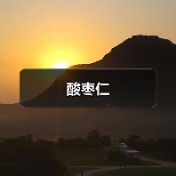 酸枣仁（图1）