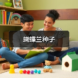 蝴蝶兰种子（图4）