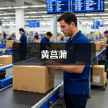 黄菖蒲(图1) 黄菖蒲(图1)