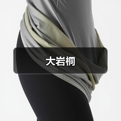 大岩桐(图4) 大岩桐(图4)