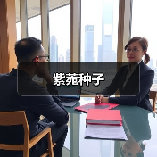 紫菀种子（图1）