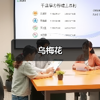 乌梅花（图2）