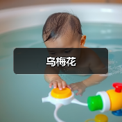 乌梅花（图3）