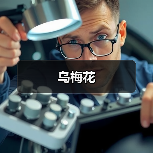乌梅花（图4）