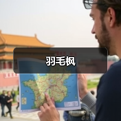 羽毛枫（图4）