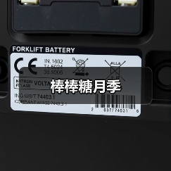 棒棒糖月季(图1) 棒棒糖月季(图1)