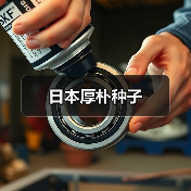 日本厚朴种子(图3) 日本厚朴种子(图3)