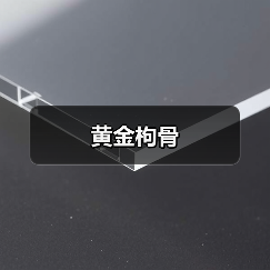 黄金枸骨（图1）