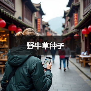 野牛草种子(图2) 野牛草种子(图2)