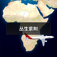 丛生紫荆（图4）