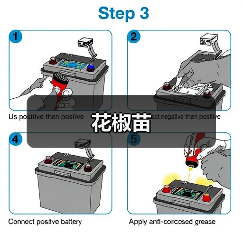 花椒苗(图3) 花椒苗(图3)