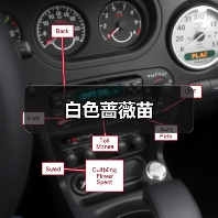 白色蔷薇苗（图2）