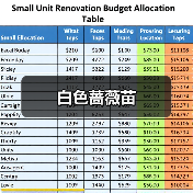 白色蔷薇苗（图3）