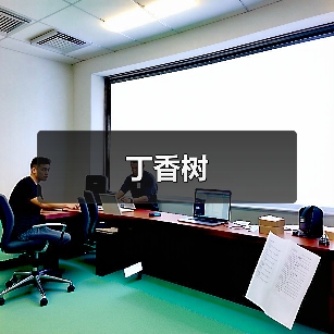 丁香树（图3）