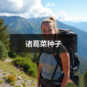 诸葛菜种子（图1）