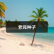 紫菀种子(图3) 紫菀种子(图3)