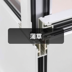 蒲草（图1）
