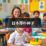 日本厚朴种子（图1）