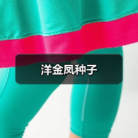 洋金凤种子（图2）