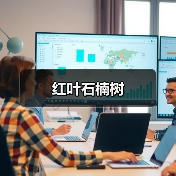 红叶石楠树（图3）