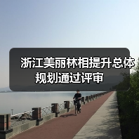 浙江美丽林相提升总体规划通过评审(图1) 浙江美丽林相提升总体规划通过评审(图1)