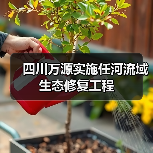 四川万源实施任河流域生态修复工程(图3) 四川万源实施任河流域生态修复工程(图3)