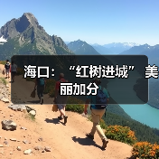海口:“红树进城” 美丽加分(图3) 海口:“红树进城” 美丽加分(图3)