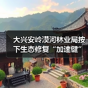 大兴安岭漠河林业局按下生态修复“加速键”(图3) 大兴安岭漠河林业局按下生态修复“加速键”(图3)