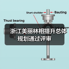 浙江美丽林相提升总体规划通过评审(图3) 浙江美丽林相提升总体规划通过评审(图3)