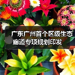 广东广州首个区级生态廊道专项规划印发(图2) 广东广州首个区级生态廊道专项规划印发(图2)