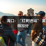 海口:“红树进城” 美丽加分(图1) 海口:“红树进城” 美丽加分(图1)