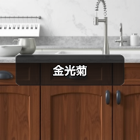 金光菊（图1）