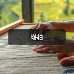 塔柏（图1）