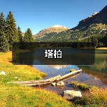塔柏（图4）