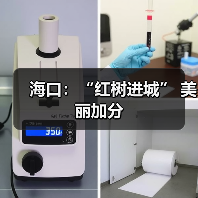 海口:“红树进城” 美丽加分(图4) 海口:“红树进城” 美丽加分(图4)
