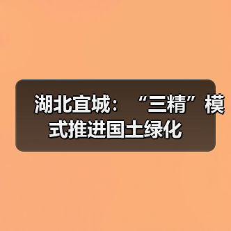湖北宜城:“三精”模式推进国土绿化(图4) 湖北宜城:“三精”模式推进国土绿化(图4)