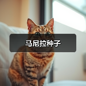 马尼拉种子（图1）
