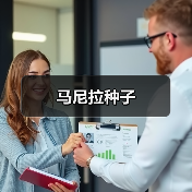 马尼拉种子（图4）