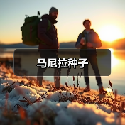 马尼拉种子（图3）