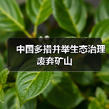 中国多措并举生态治理废弃矿山(图2) 中国多措并举生态治理废弃矿山(图2)