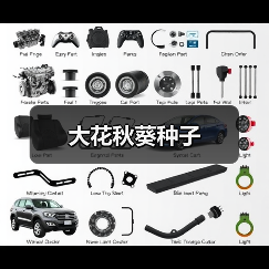 大花秋葵种子（图3）