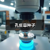 孔雀草种子（图3）