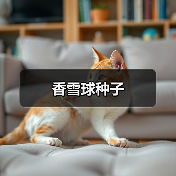 香雪球种子(图2) 香雪球种子(图2)