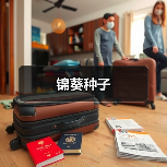 锦葵种子