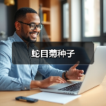 蛇目菊种子（图1）