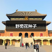 野菊花种子(图2) 野菊花种子(图2)