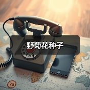 野菊花种子(图4) 野菊花种子(图4)