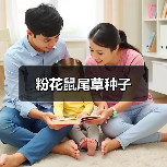 粉花鼠尾草种子（图2）
