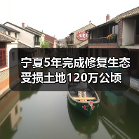 宁夏5年完成修复生态受损土地120万公顷(图1) 宁夏5年完成修复生态受损土地120万公顷(图1)