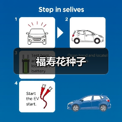 福寿花种子(图3) 福寿花种子(图3)